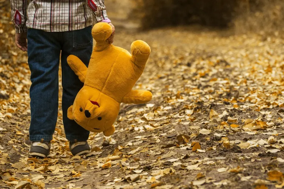 child, teddy bear, fall, autumn
