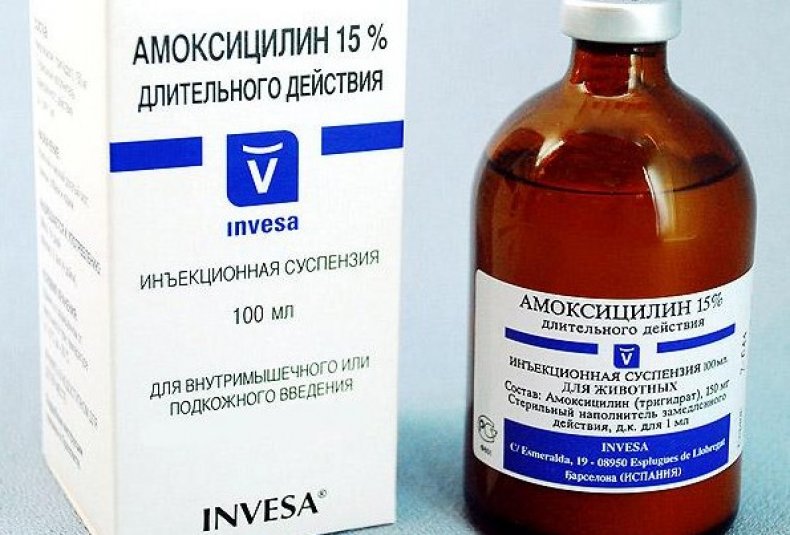 Amoksycylina