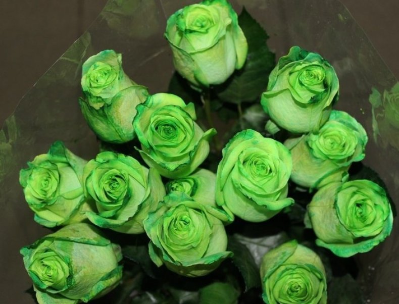 Zelené ruže