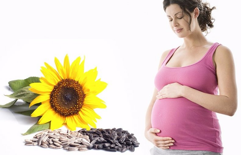 Nasiona słonecznika podczas ciąży