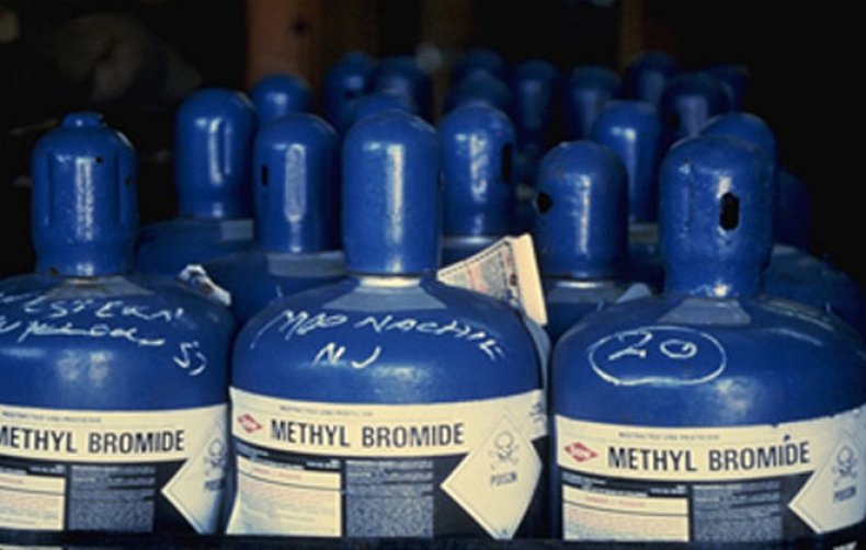 Methyl bromide