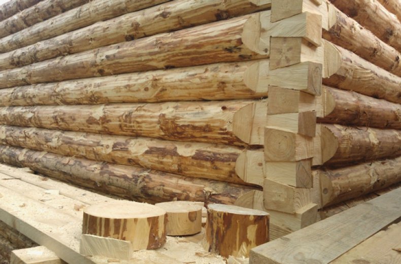 Case din lemn de molid