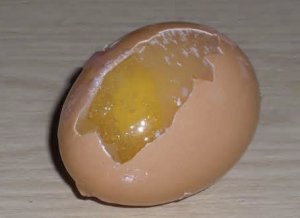 Egg de pui