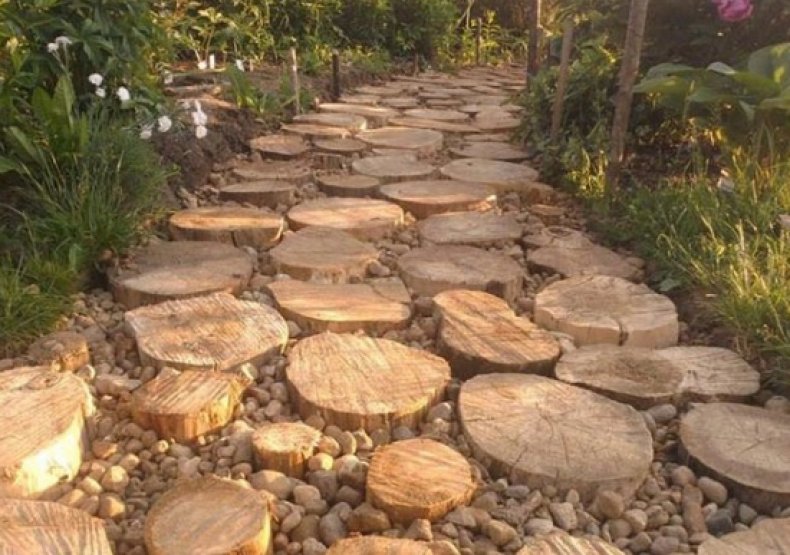 drevené chodníky