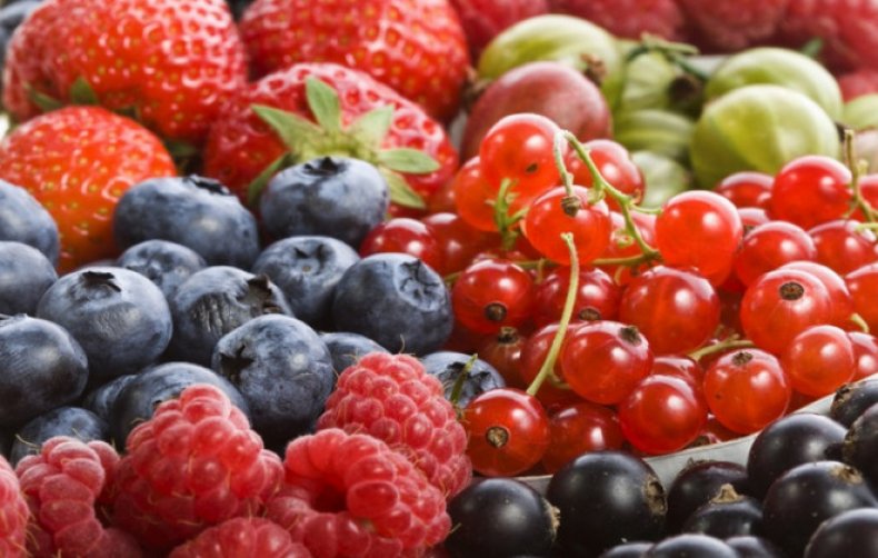 Uprawy owoców i jagód