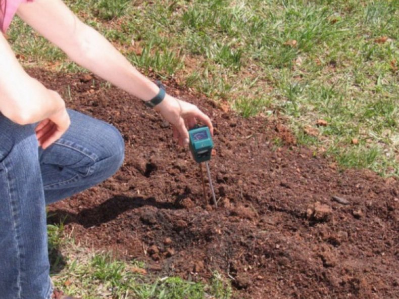 Oznaczanie kwasowości gleby