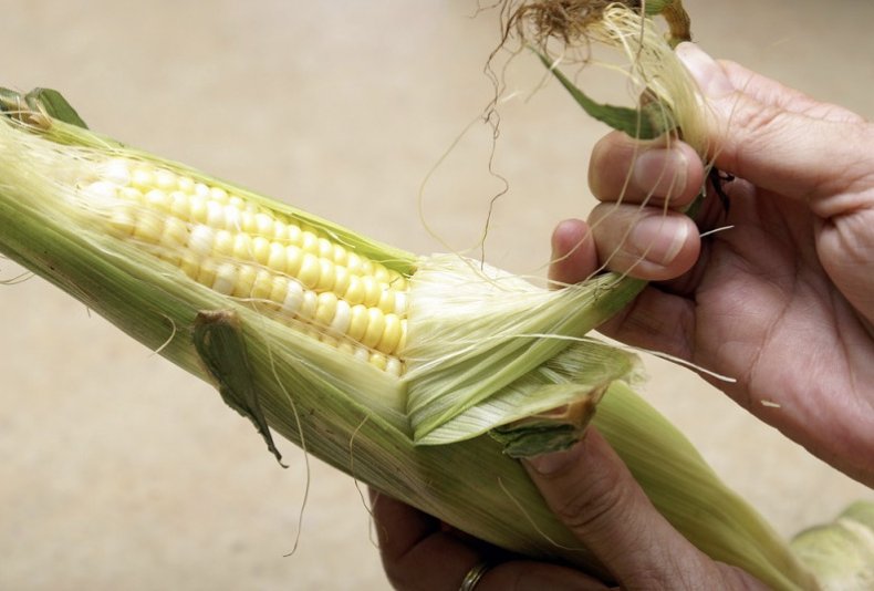 Stygmaty kukurydzy