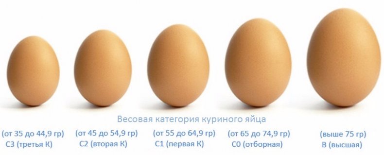 Hmotnostná kategória vajec