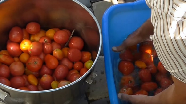 Bir tencerede ekşi domates