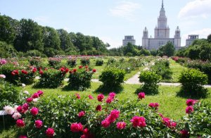 Grădina Botanică a Universității de Stat din Moscova