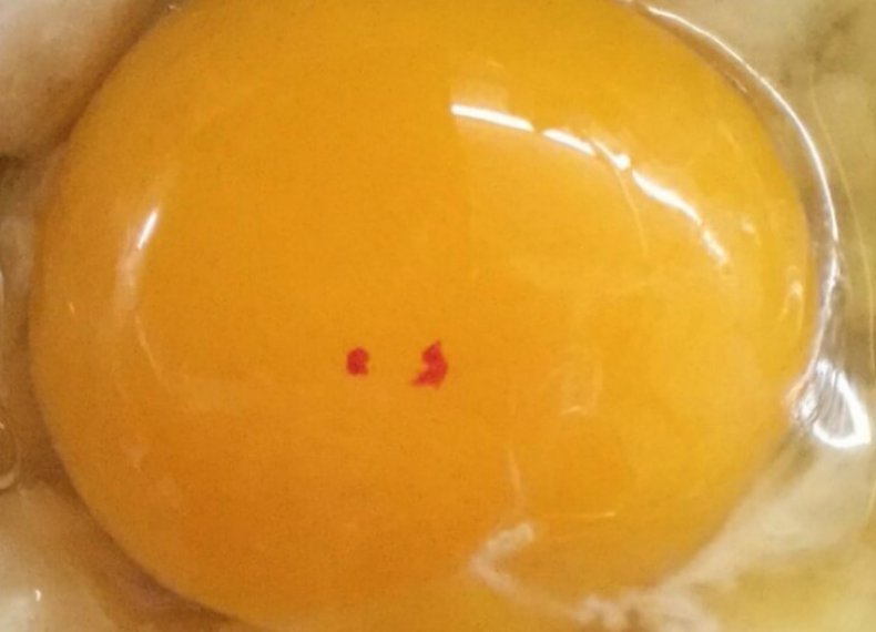 Yumurta sarısı