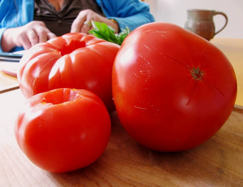 tomate Slot f1
