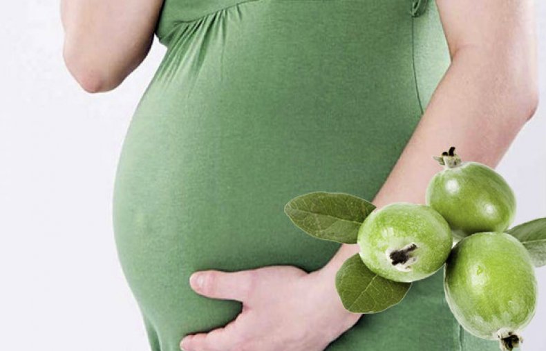 Feijoa în timpul sarcinii