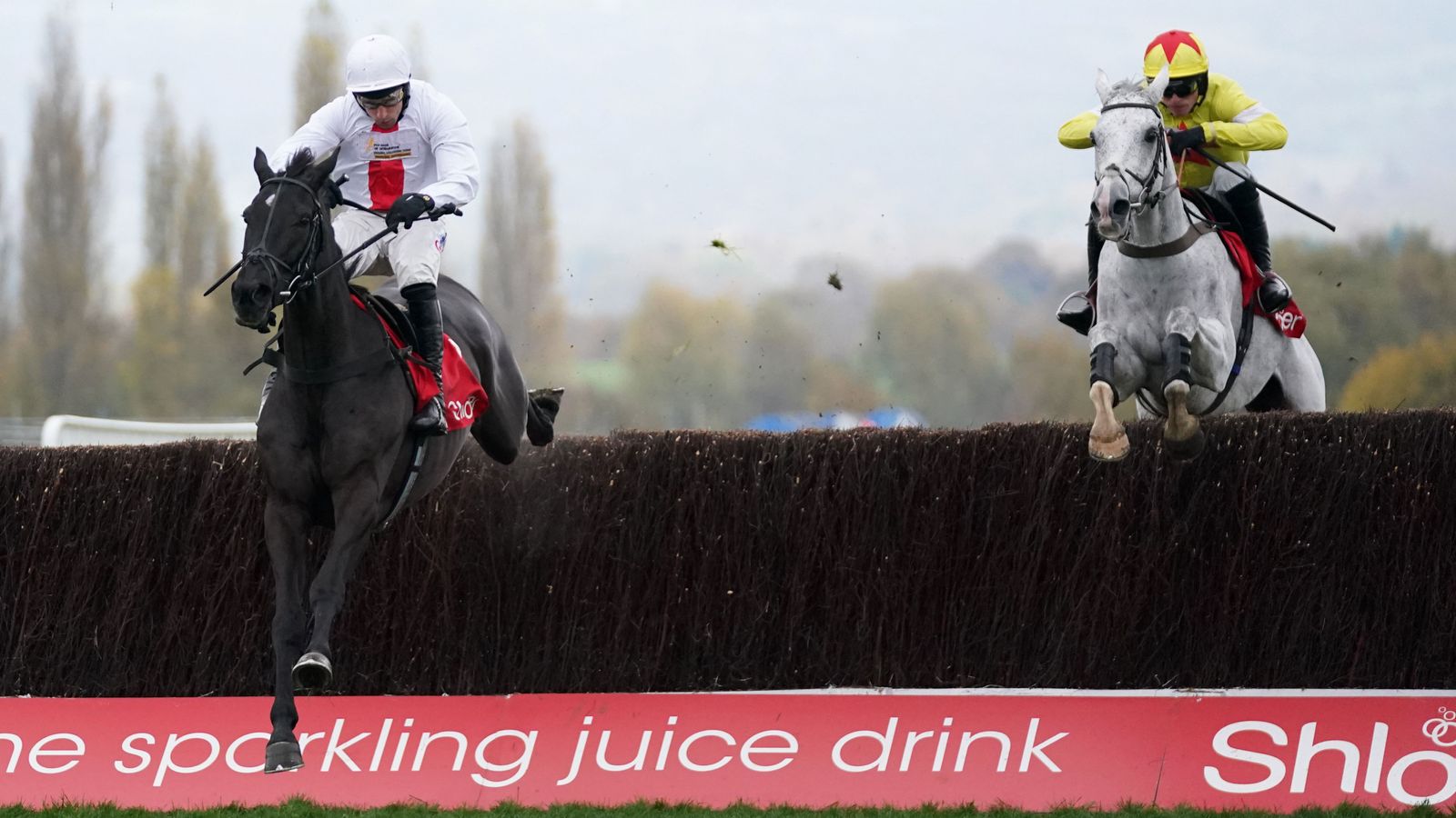 Pertemuan November Cheltenham: Lima untuk diikuti di Prestbury Park termasuk pemilihan Piala Emas Paddy Power |  Berita Balap